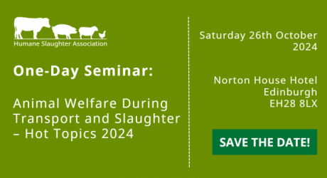 Animal welfare during transport and slaughter – hot topics 2024 feature image