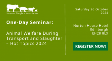 Animal welfare during transport and slaughter – hot topics 2024 feature image