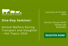 Animal welfare during transport and slaughter – hot topics 2024 feature image