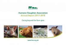 An exciting year for the HSA feature image
