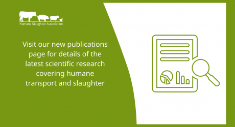 Latest research papers in humane transport and slaughter feature image