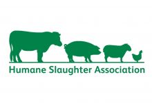 HSA Welcomes Government Announcement of Funding for Small Abattoirs feature image