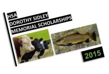 Student Scholarships Deadline Approaching feature image