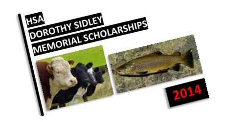 Student Scholarships Deadline feature image