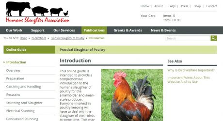 Welcome to the HSA's new website feature image