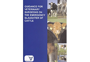 Guidance for Veterinary Surgeons on the Emergency Slaughter of Cattle