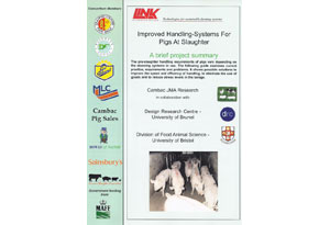 Improved Handling Systems for Pigs at Slaughter