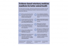 UFAW and HSA support new Veterinary Manifesto feature image